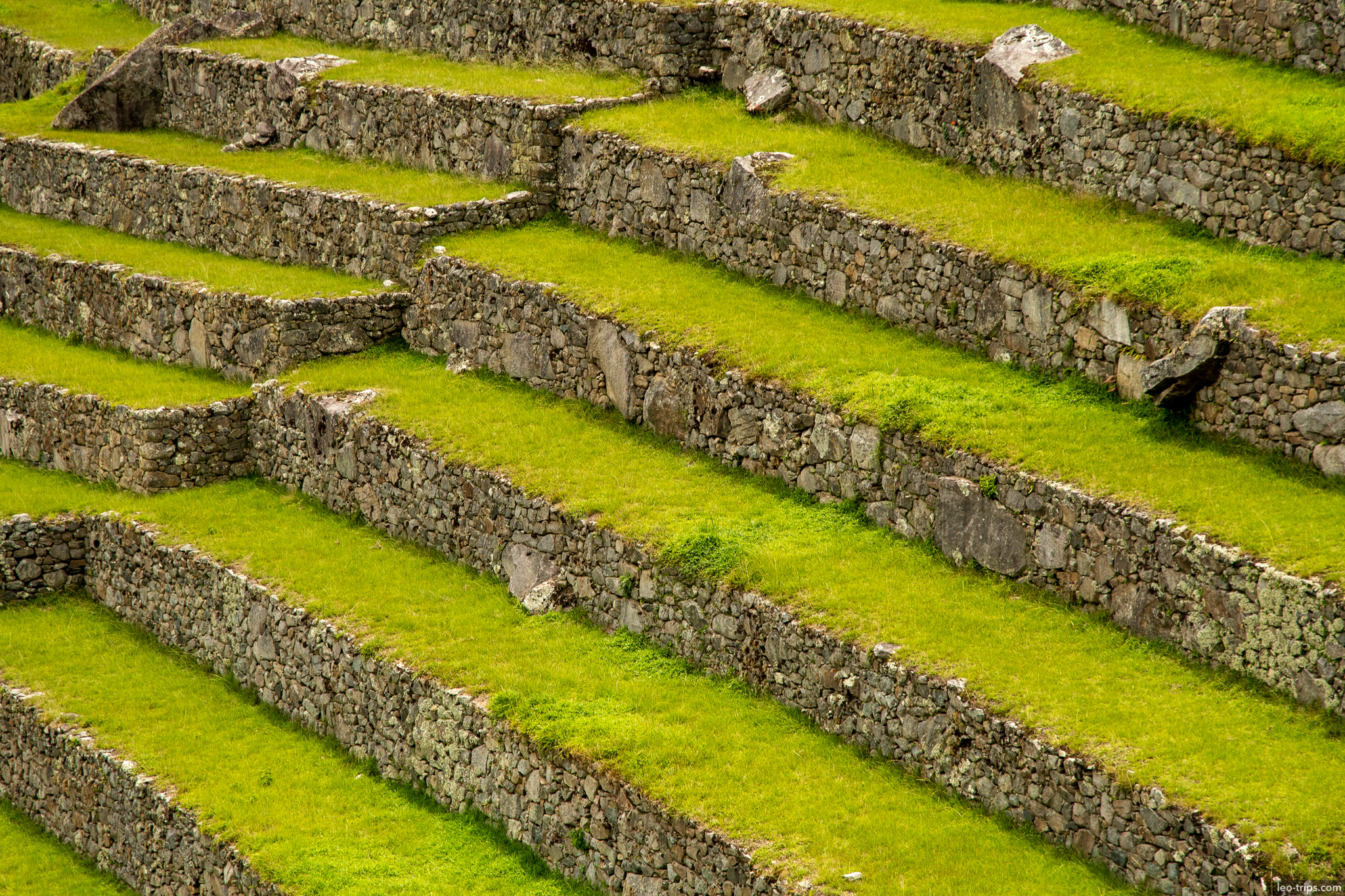 inca agricultural terraces andenes closeup machu picchu