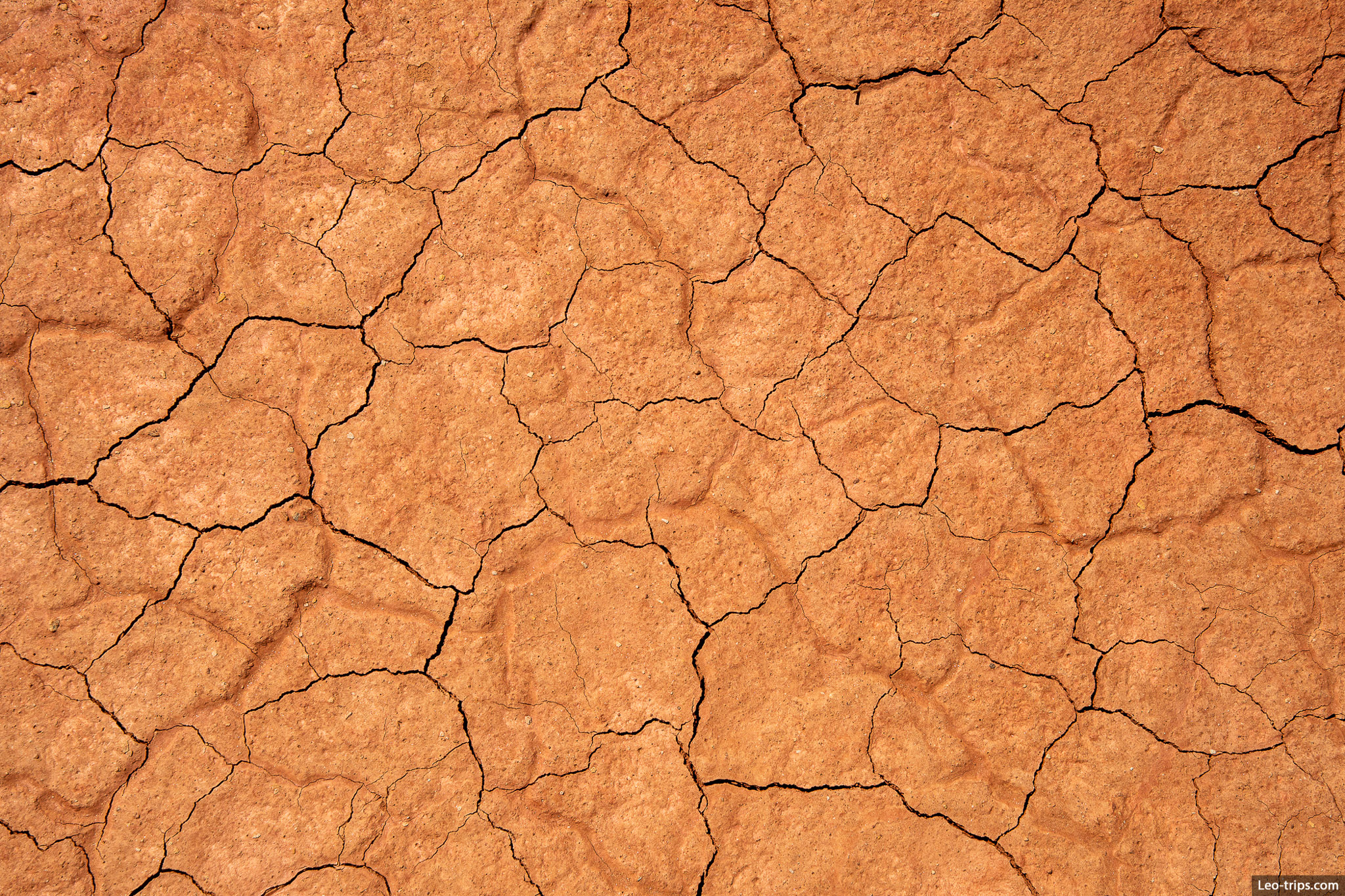 red mud cracks texture capitol reef national park