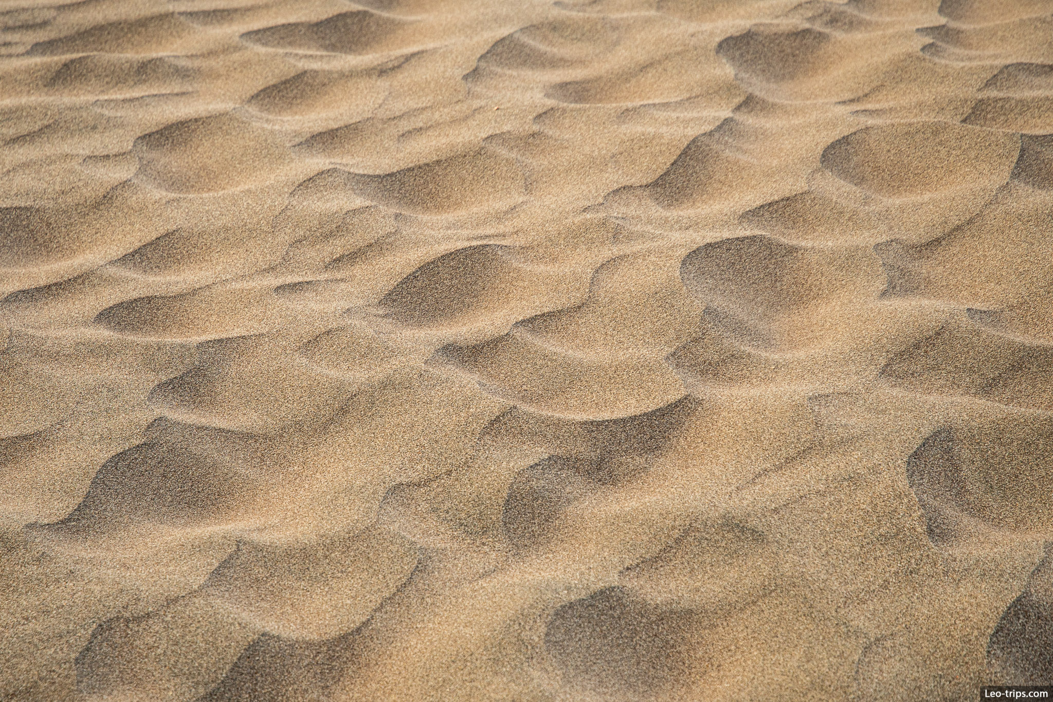 dunes texture great sand dunes national park