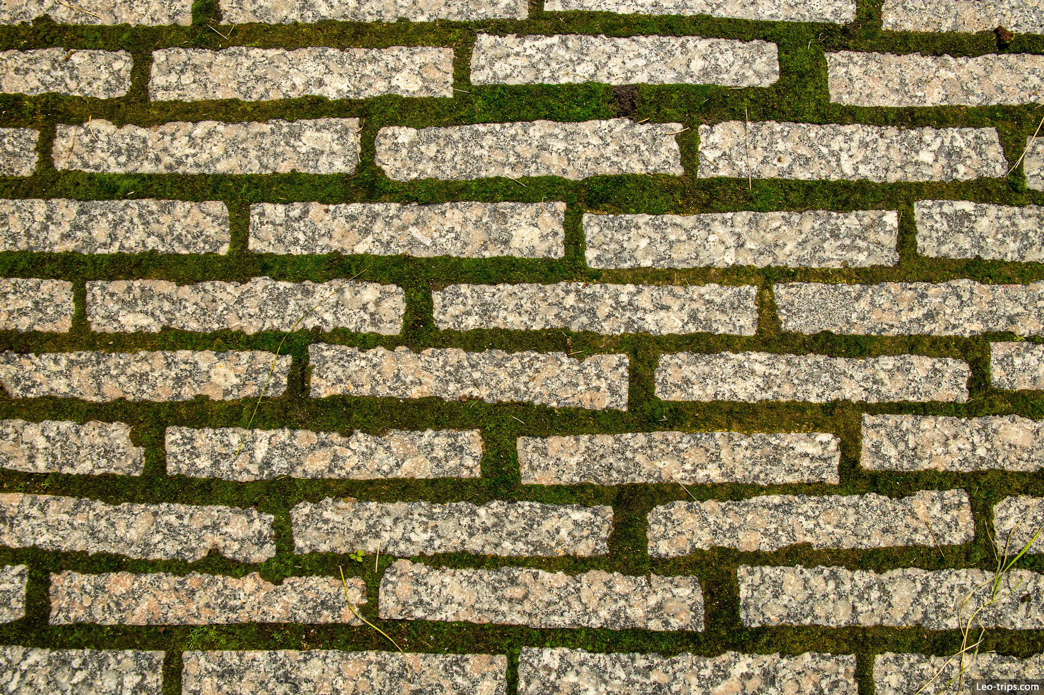 brick texture minneapolis