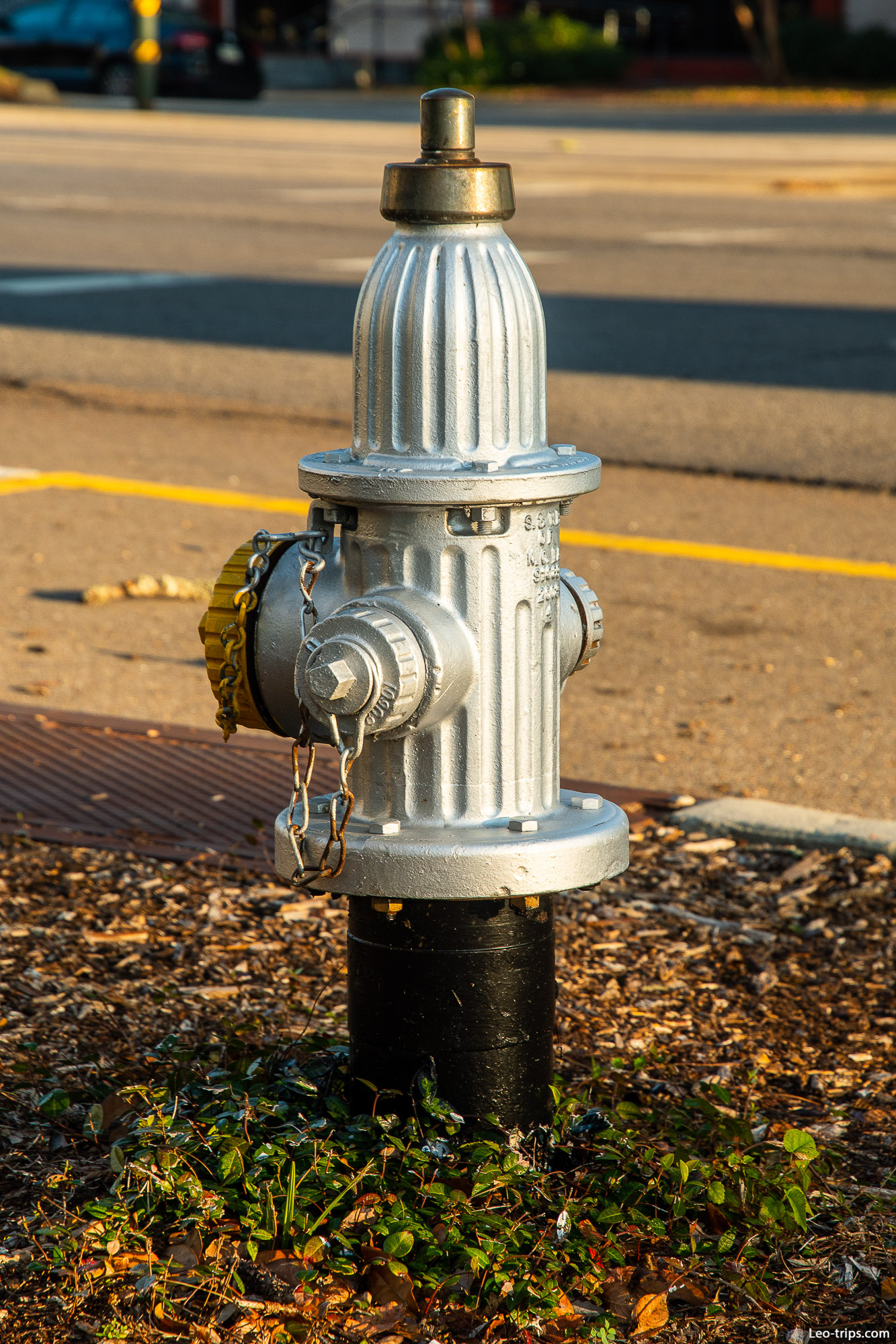 gray colored fire hydrant new orleans