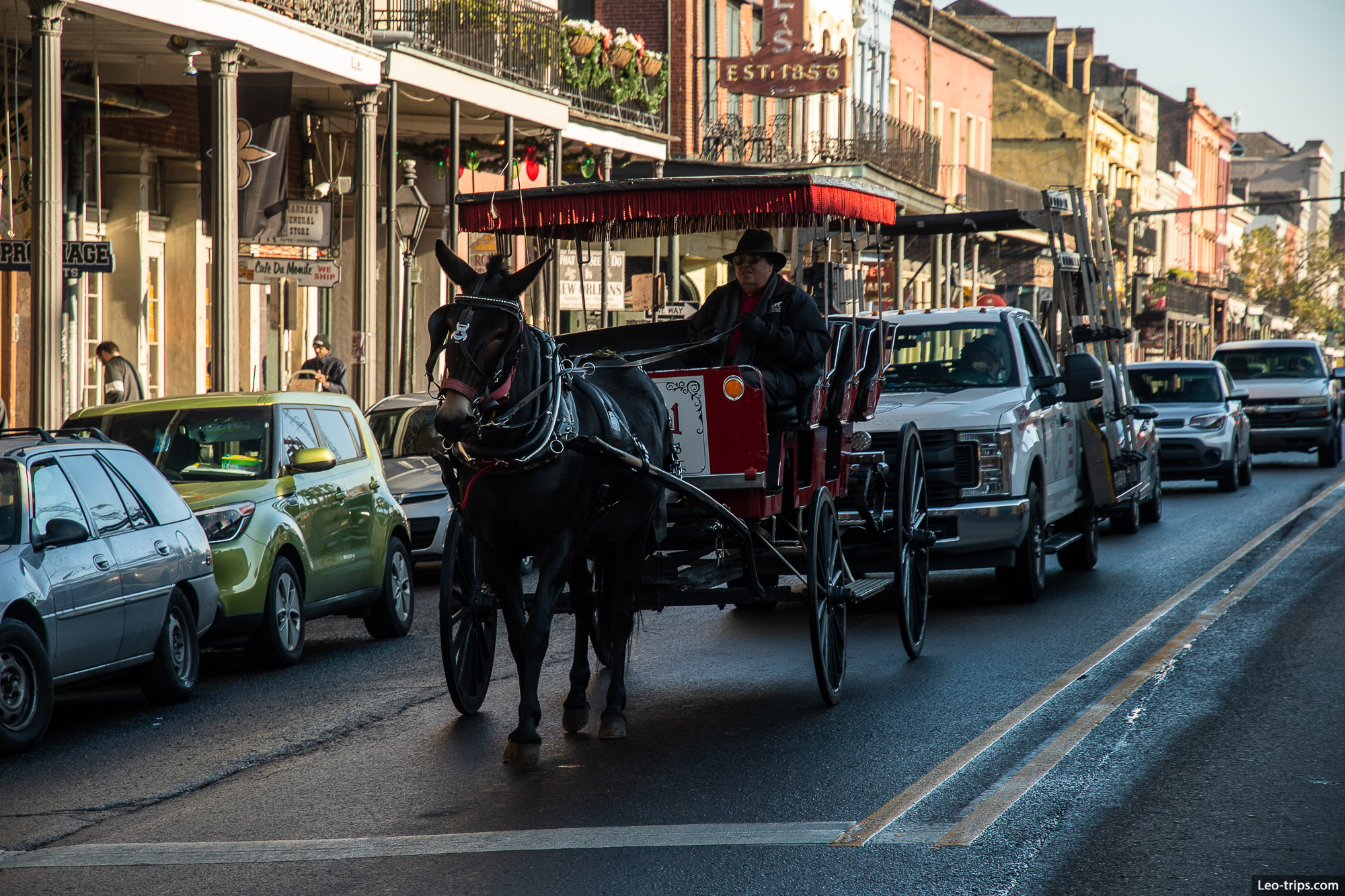 horse carriage on a street new orleans