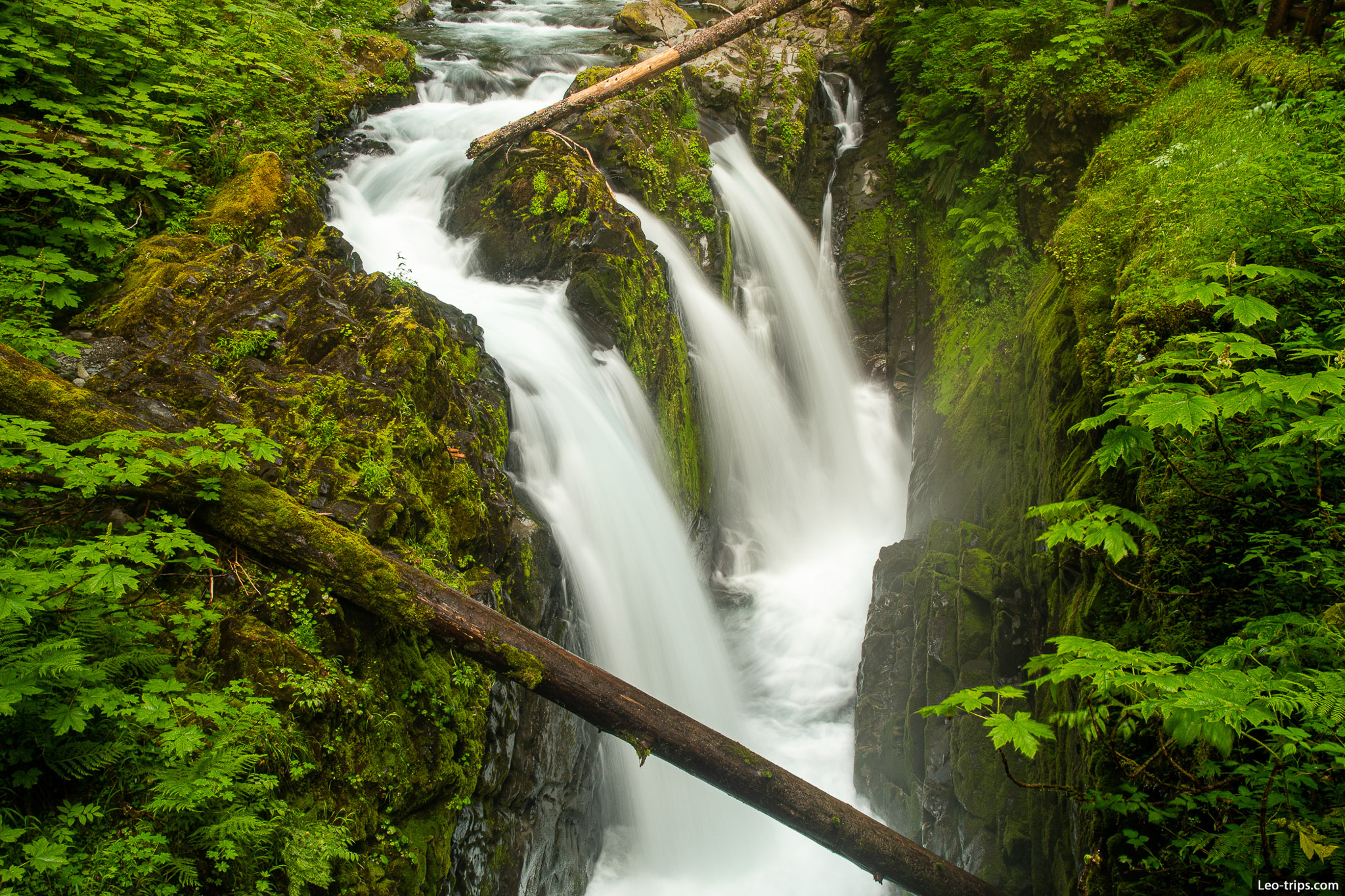 sol duc falls dropping into narrow gorge olympic national park