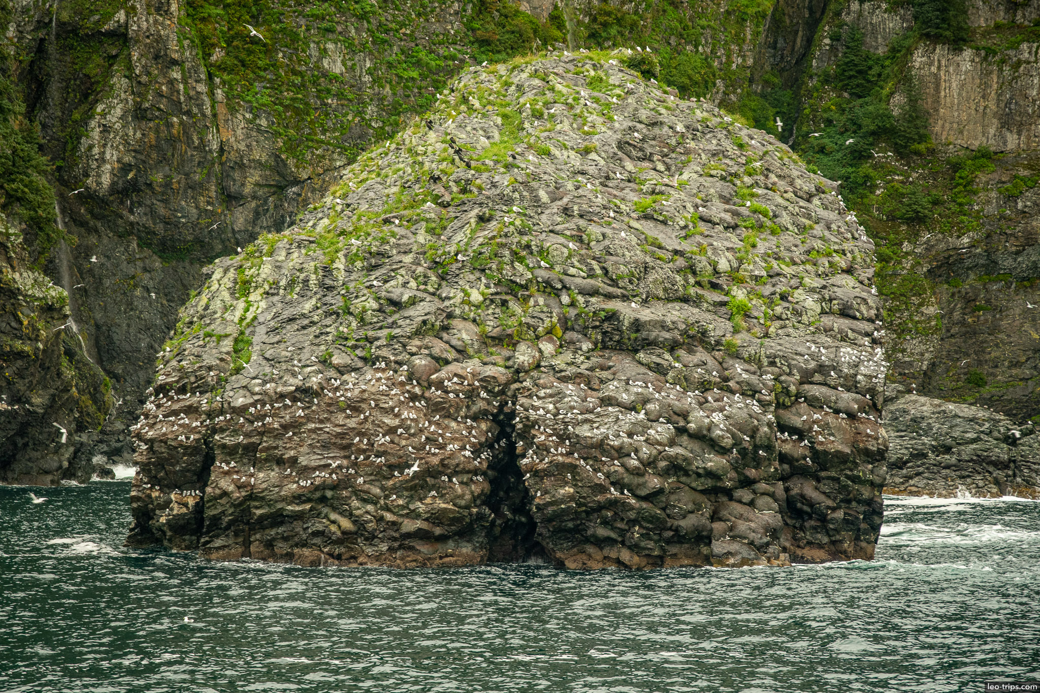 Rocky island with Seagulls resurrection bay