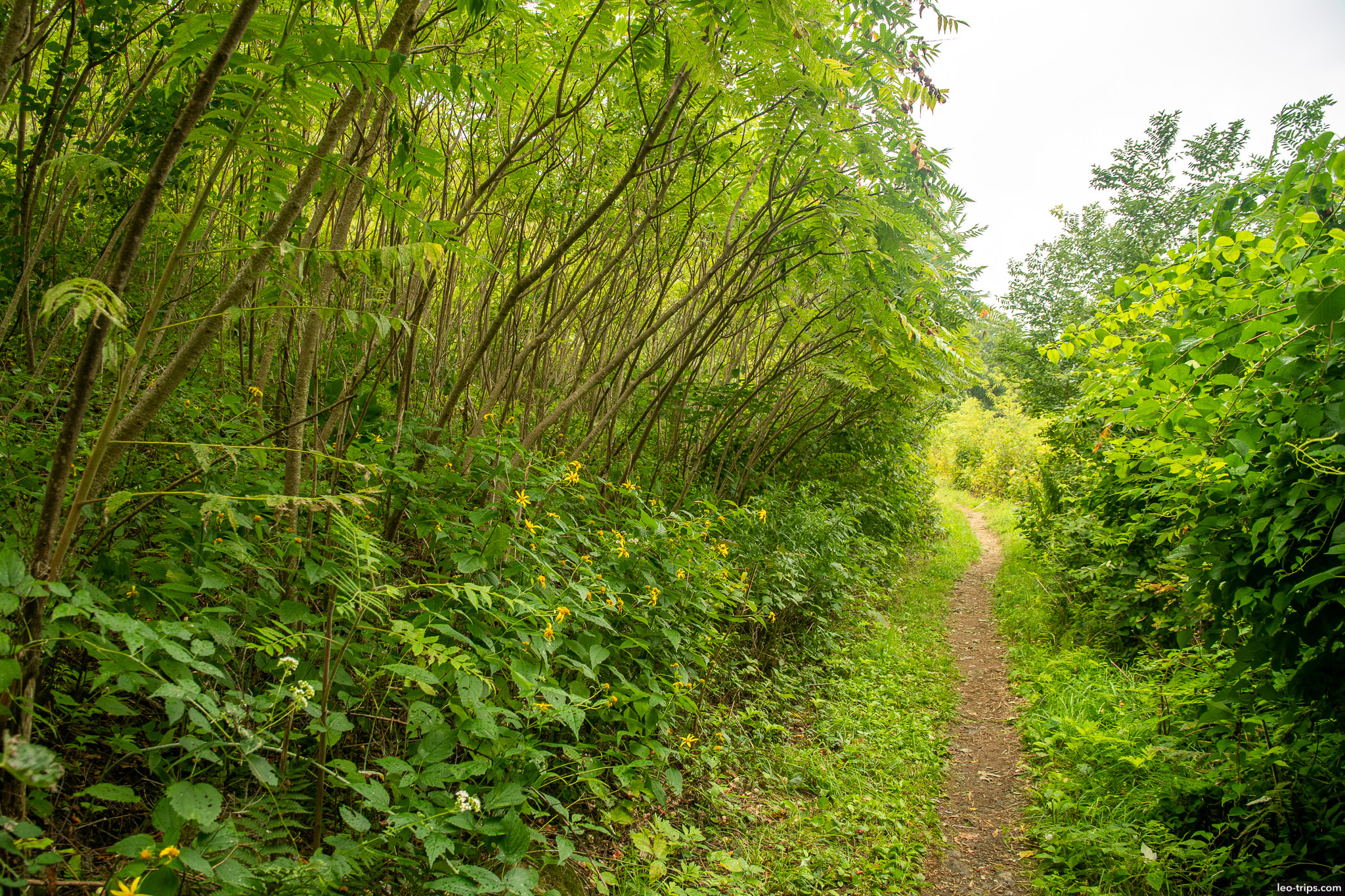 appalachian trail shenandoah national park