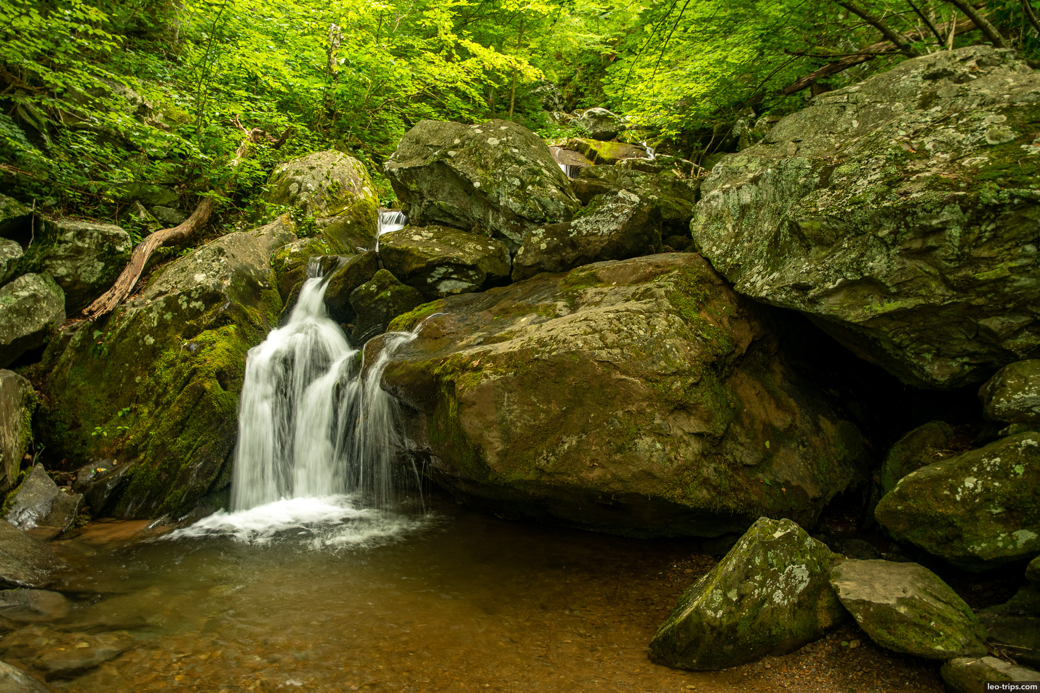 creek and mossy boulders shenandoah national park