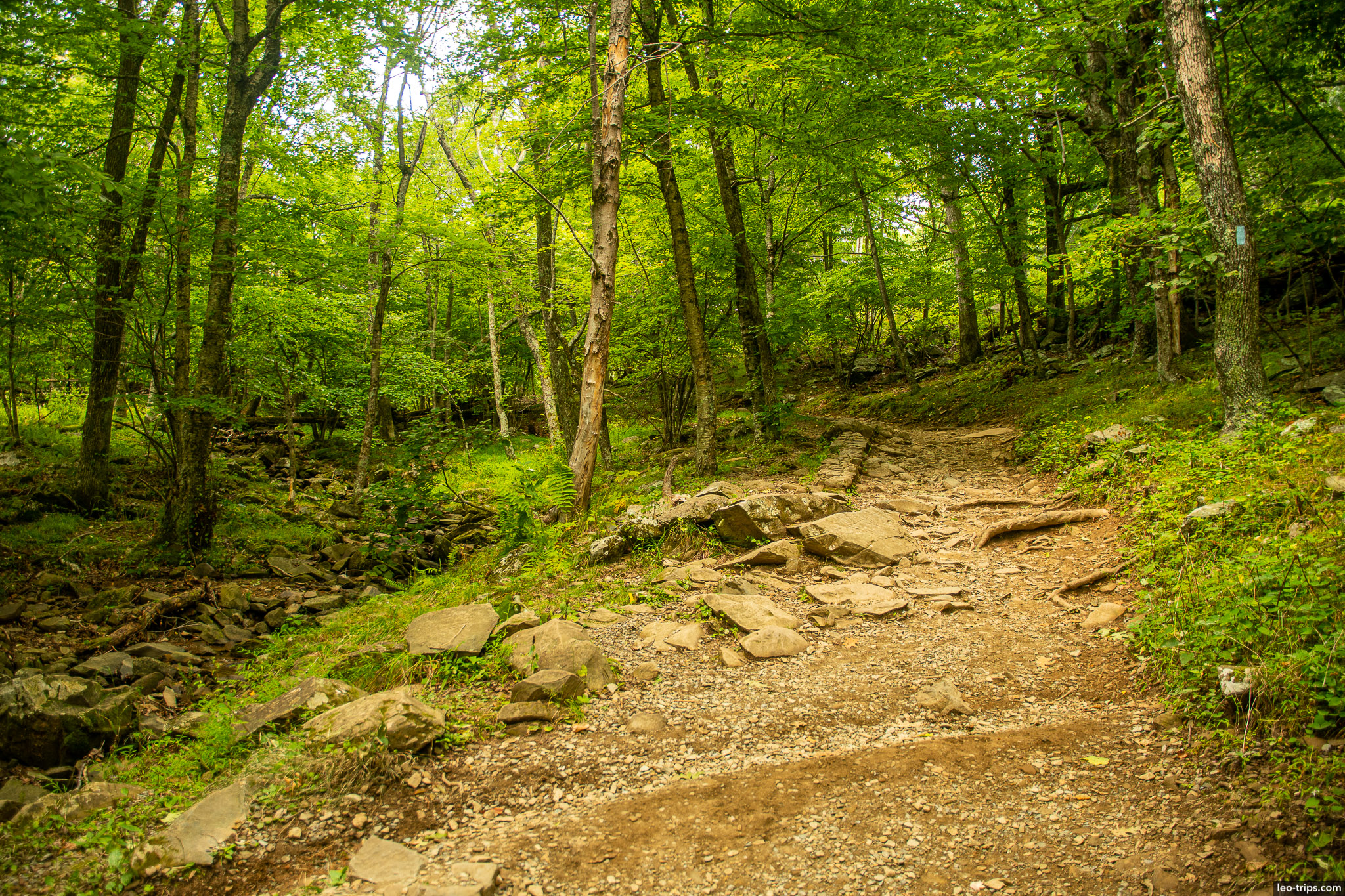 dark hollow falls trail shenandoah national park