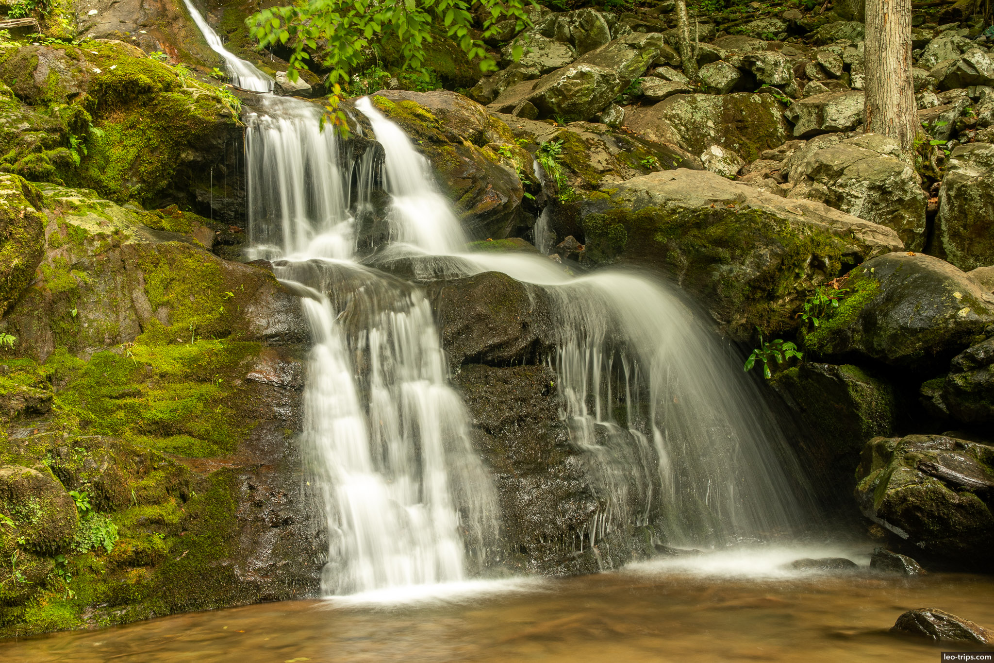 dark hollow falls shenandoah national park