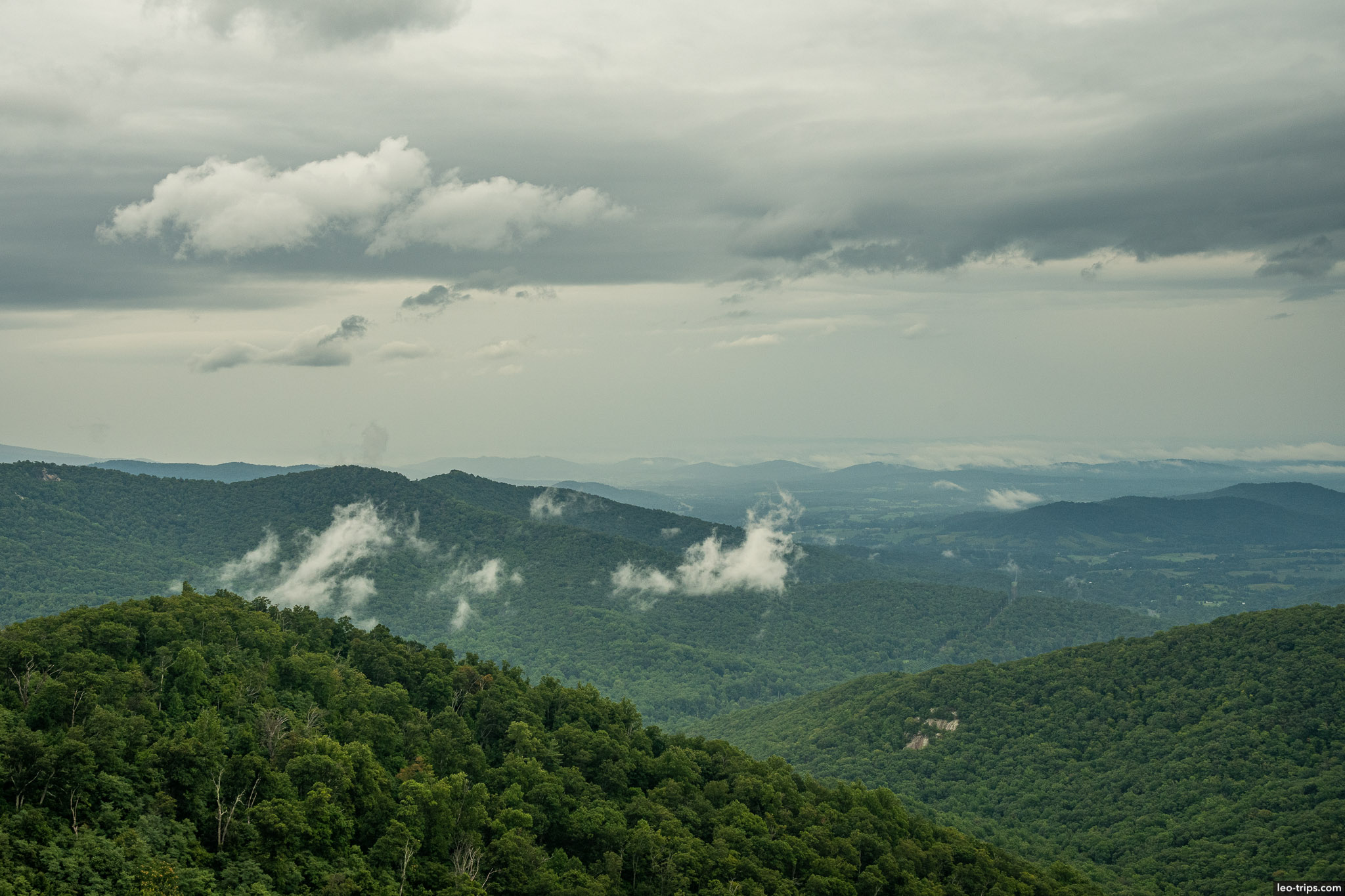 forested ridges on a cloudy day shenandoah national park