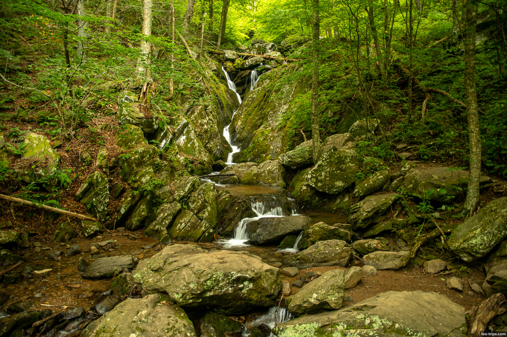 hogcamp branch shenandoah national park