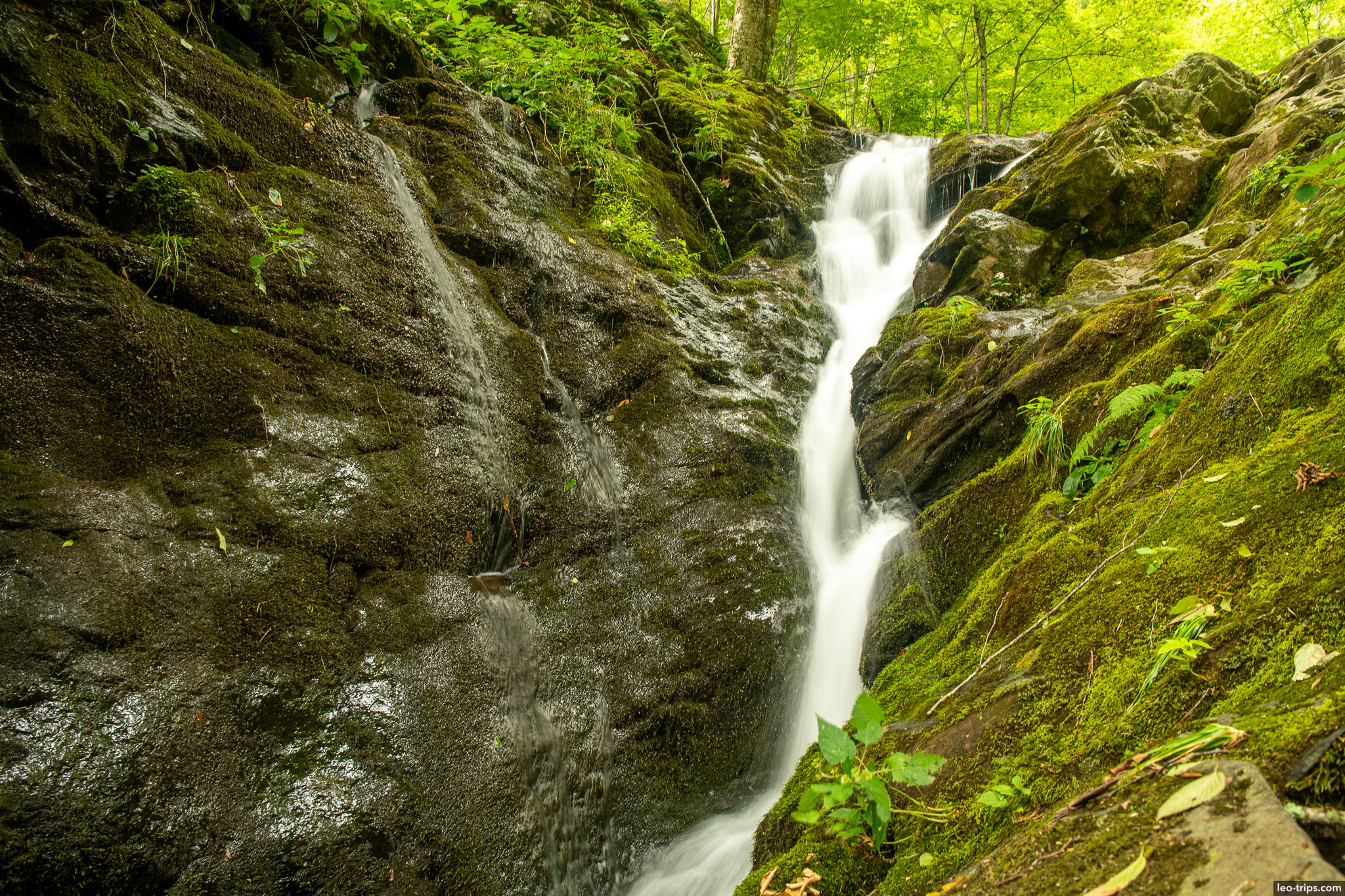 rocky outcrop with cascading water shenandoah national park