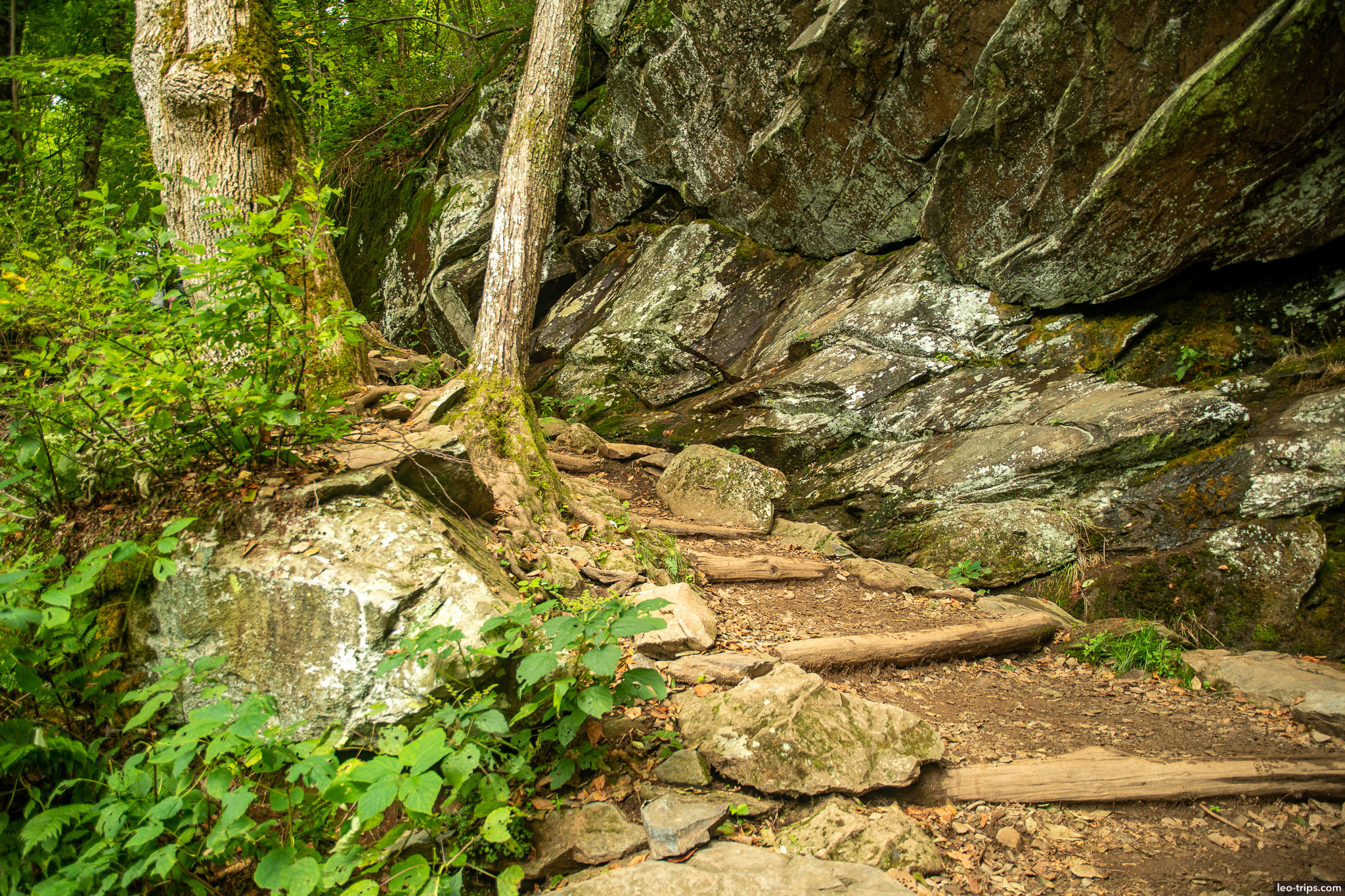step path along shenandoah national park