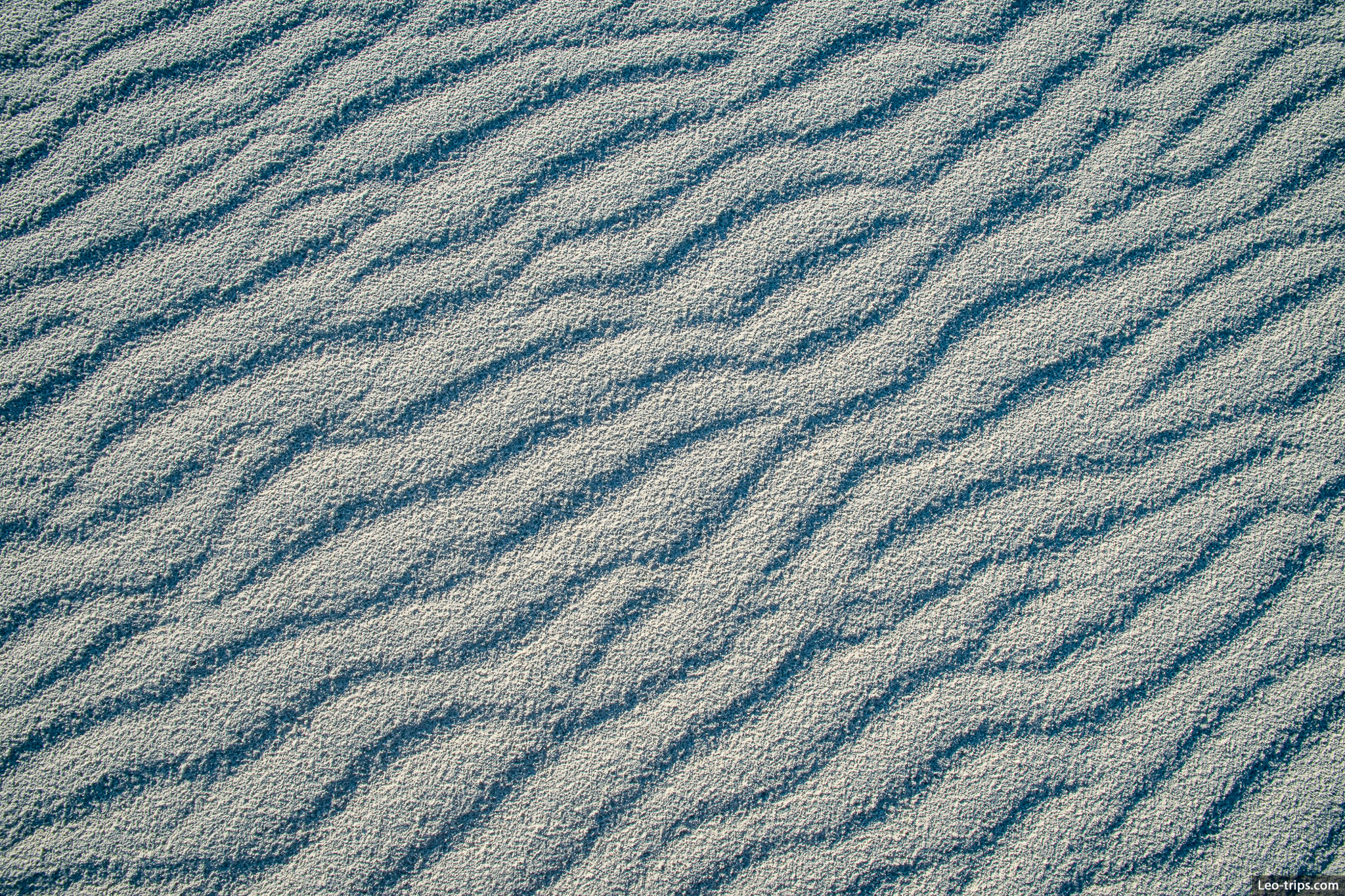 dune ripples texture white sands national park