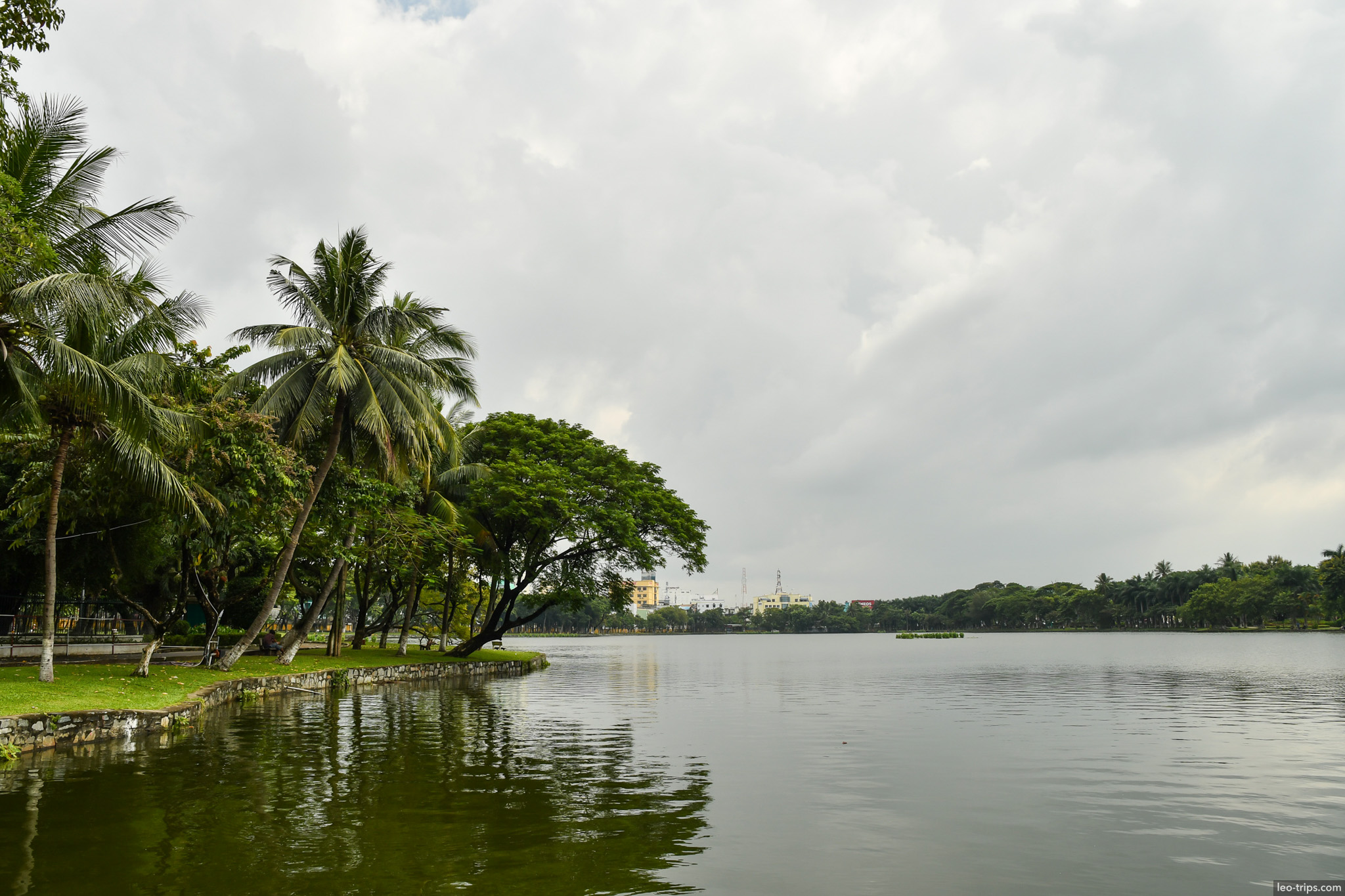 danang city lake palm trees park reflection da nang