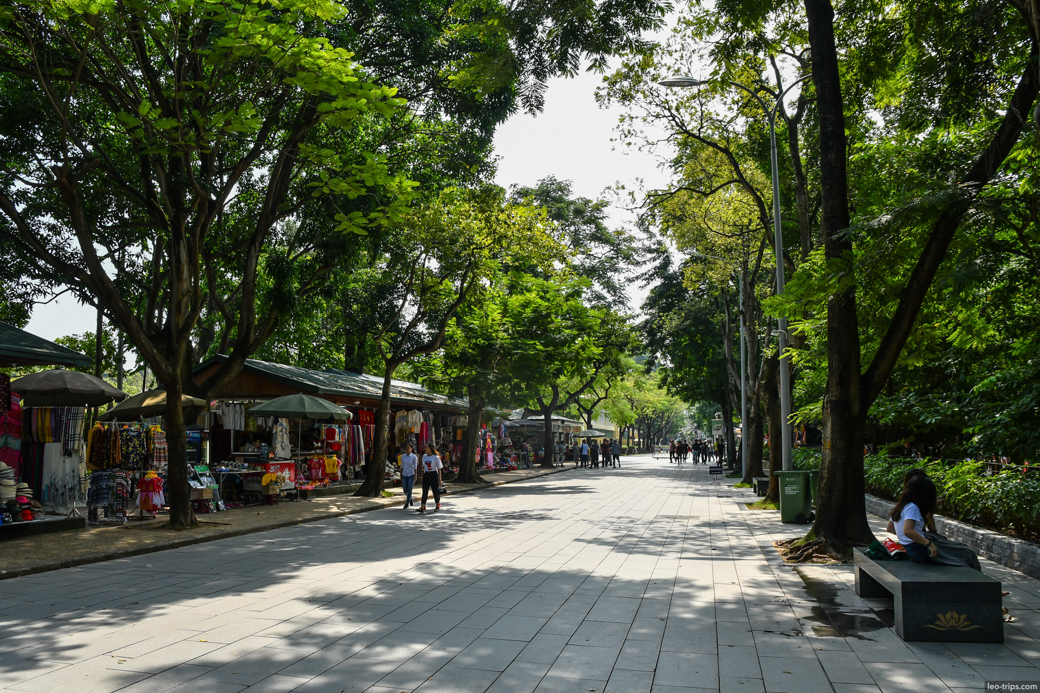 tree lined souvenir market pedestrian alley hanoi hanoi