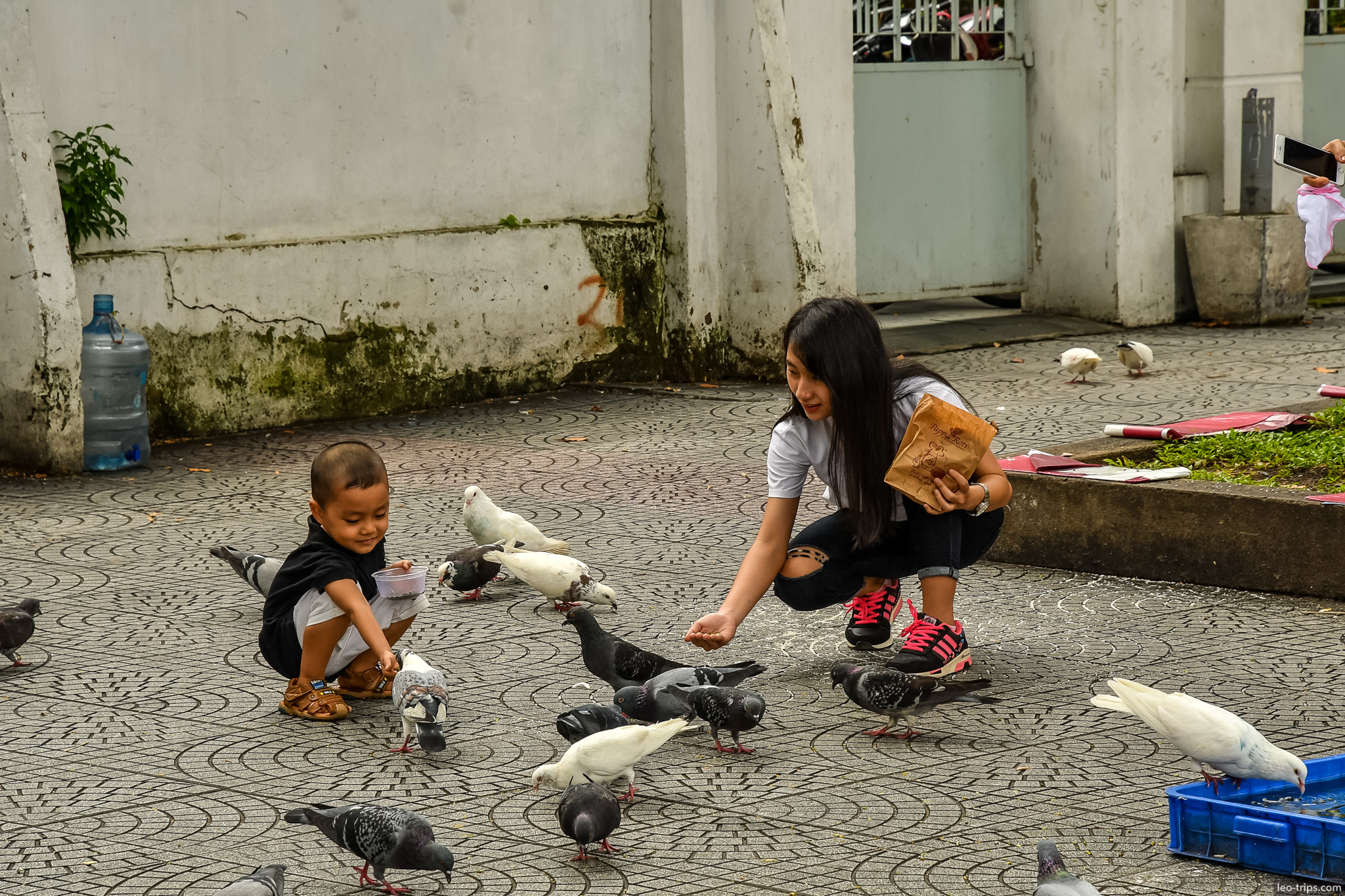 feeding pigeons near cathedral saigon ho chi minh city