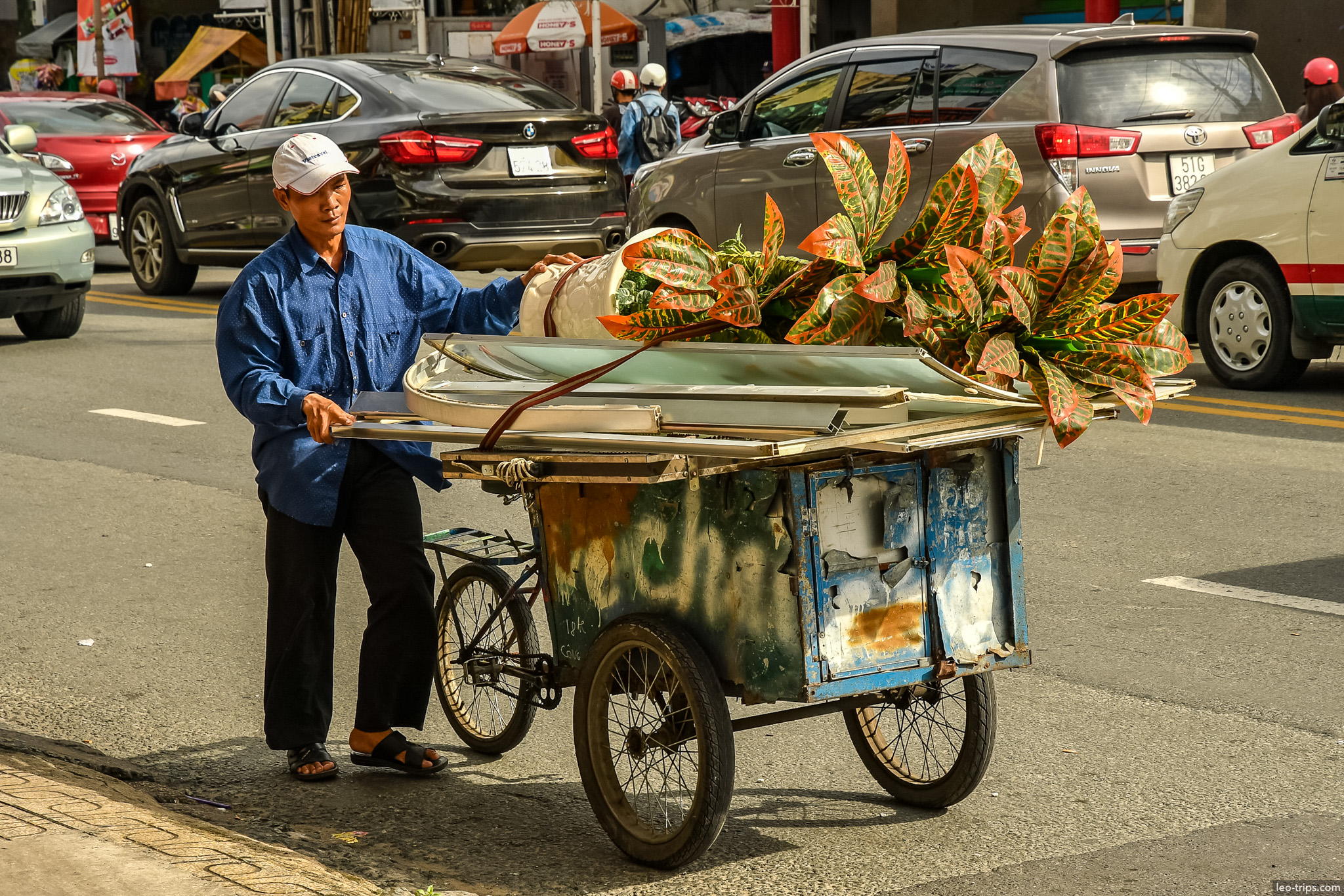 man pushing cart croton plant saigon ho chi minh city