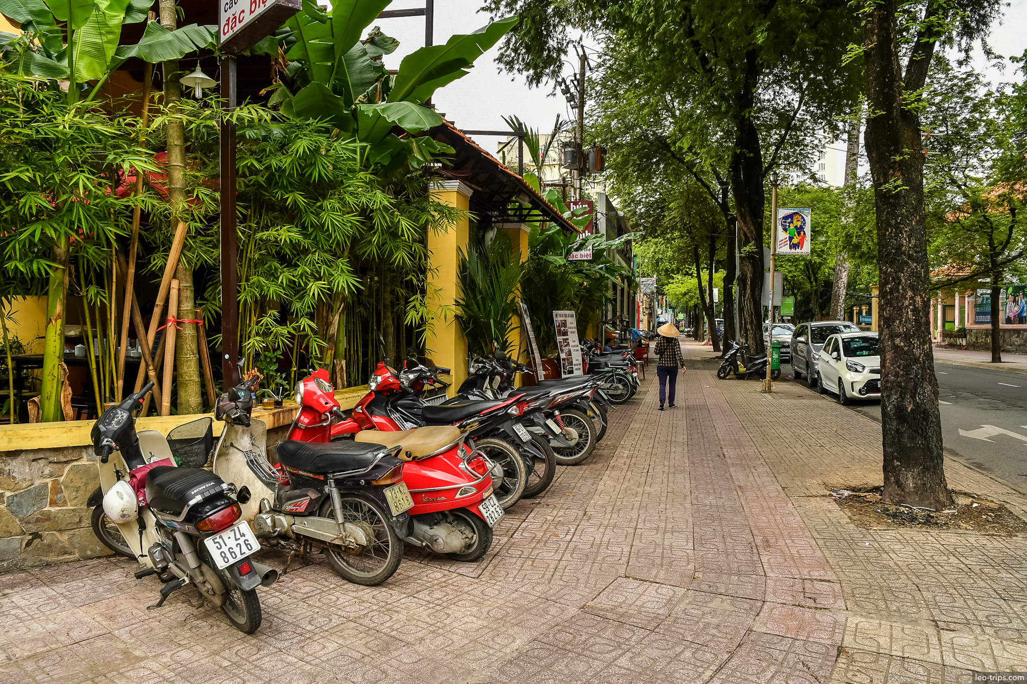 quiet tree lined street bamboo cafe saigon ho chi minh city