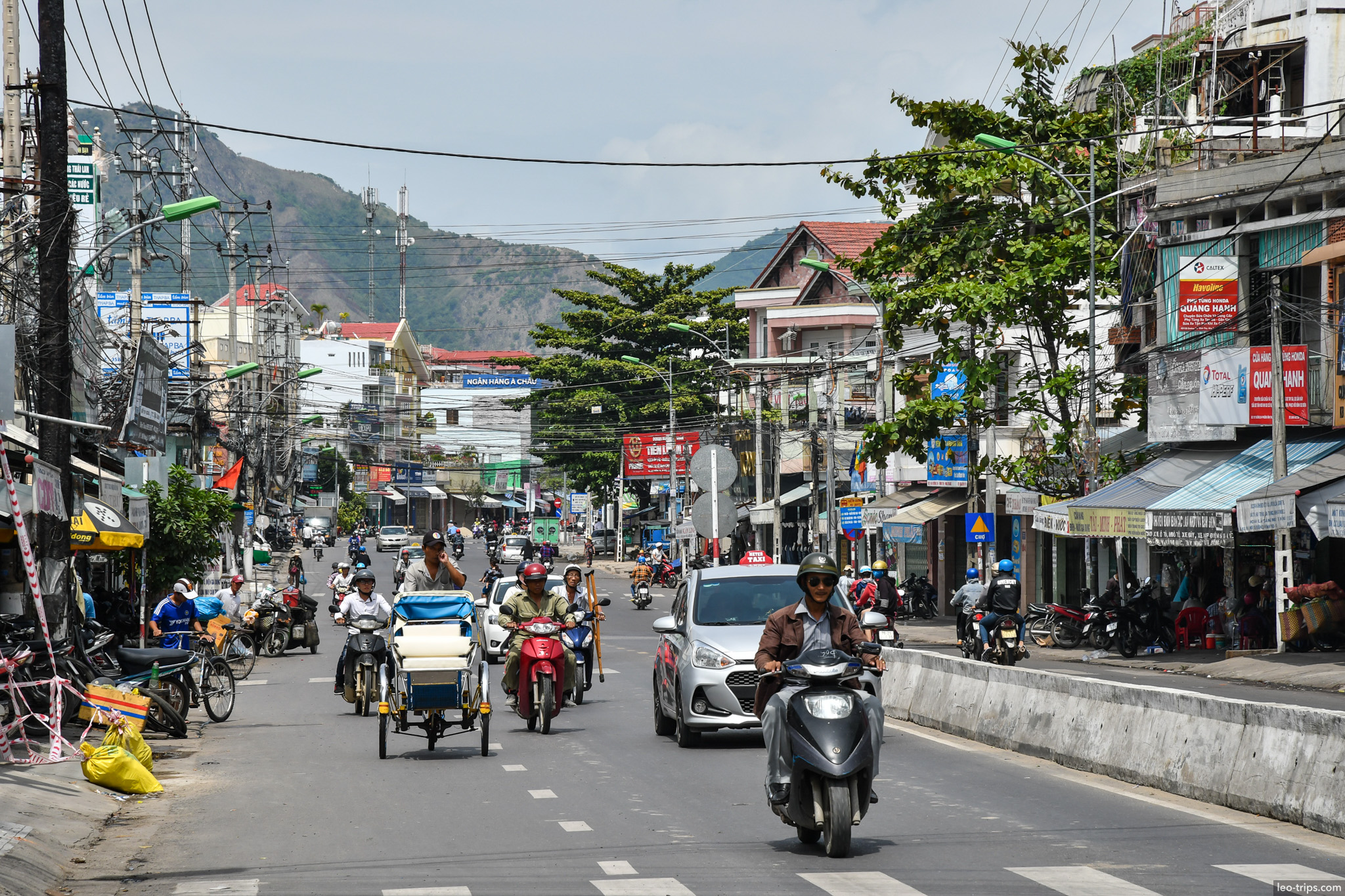 ancient banyan tree aerial roots nha trang nha trang