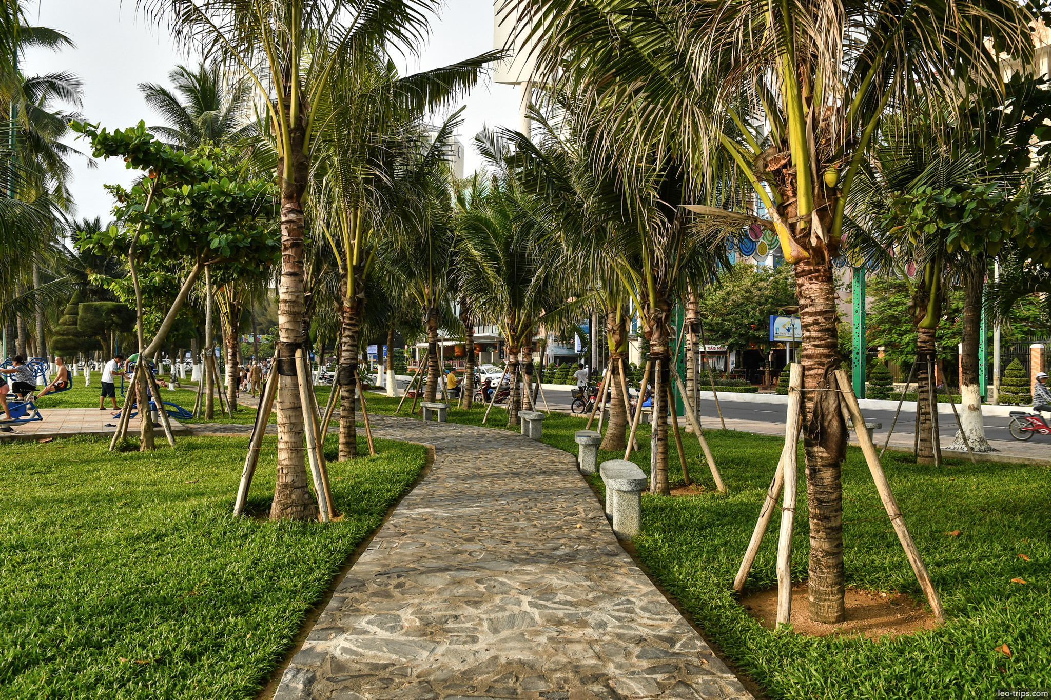 nha trang beachfront highrise hotel palm trees nha trang