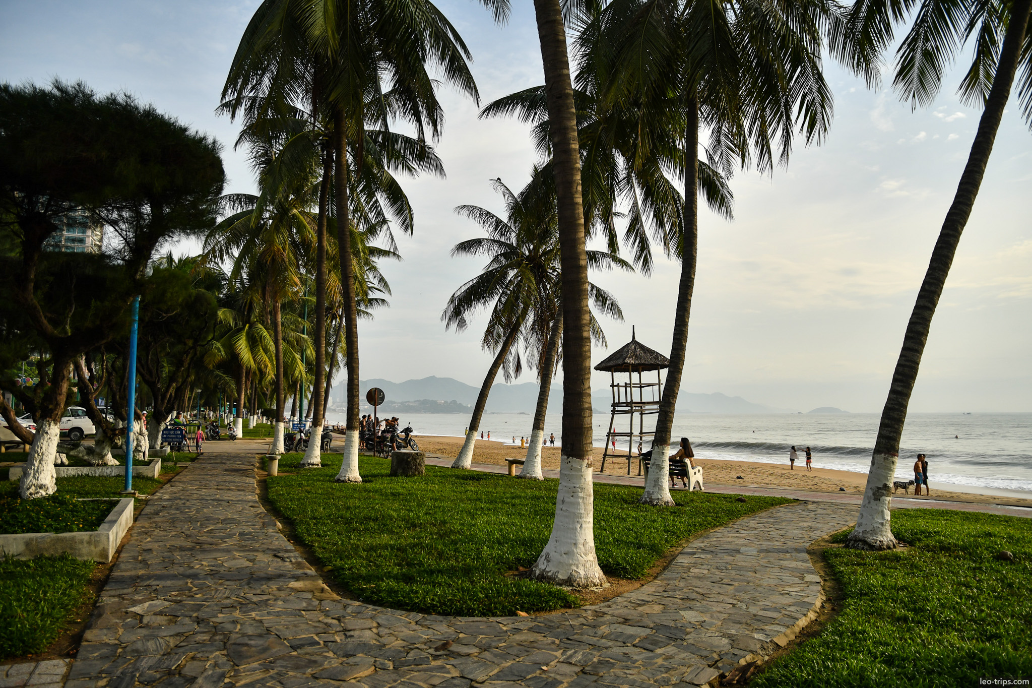 sunset silhouette palm trees bench nha trang beach nha trang